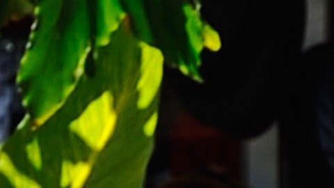 Las olas de calor extremo son un riesgo para la salud
