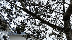 US-WEATHER-STORM-SANDY