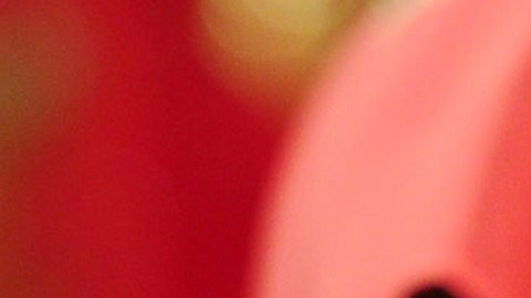 Hassan Khan, marido de la fallecida, indicó a la Policía que vio cómo varios familiares la agarraban mientras la madre la rociaba con combustible y le prendía fuego.