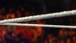 Lesnar solo tendrá una participación especial en la función de la UFC del próximo 9 de julio.