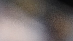 Clint Dempsey / EEUU