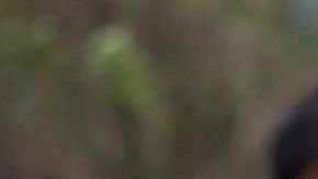 Mujeres trabajan en un campo de amapolas en el estado de Guerrero, México.