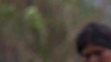 Mujeres trabajan en un campo de amapolas en el estado de Guerrero, México.