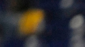 Hay evidencia de que el conductor del bote iba a exceso de velocidad.