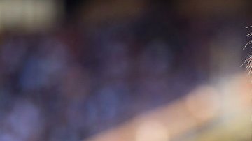 La familia de Rutherfod no viajará a Brasil para evitar contagiarse con este virus.