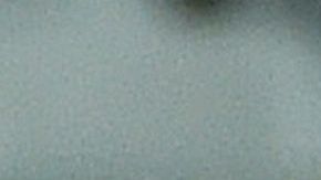 FBL-COPAM2016-ECU-TRAINING