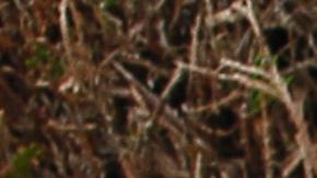 Un hombre regala flores a un policía frente a la residencia en Magnanville donde fue asesinado el comandante de la policía Jean-Baptiste Salvint y su esposa frente a su hijo pequeño.