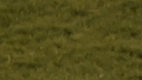 Lionel Messi no puedo conducir a Argentina al título de la Copa América.