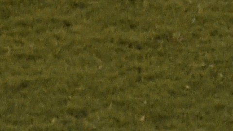 Lionel Messi no puedo conducir a Argentina al título de la Copa América.