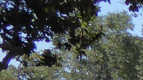 Theda Douglas, administrativa de USC, y Kelly Acevedo.