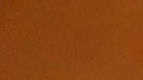 El nuevo representante del gobierno azteca en esta metrópoli, Carlos García de Alba.