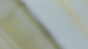 Tras su reunión privada con el presidente Barack Obama, el senador Bernie Sanders expresó su deseo de "trabajar junto" con Hillary Clinton para derrotar a Donald Trump en noviembre próximo. Foto: María Peña/Impremedia