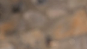 José Manuel Figueroa interpreta a su padre.