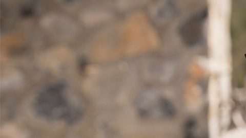 José Manuel Figueroa interpreta a su padre.