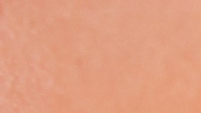 labial con protector solar