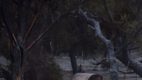 El incendio a destruido al menos 150 hogares y grandes extensiones de tierra a lo largo de unas estimadas 56 millas cuadradas durante varios días.