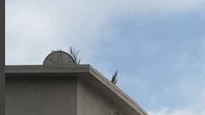 La escena recrea la matanza de Orlando, Florida. /INSTAGRAM