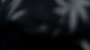 FRANCE-MARIJUANA-DEMONSTRATION