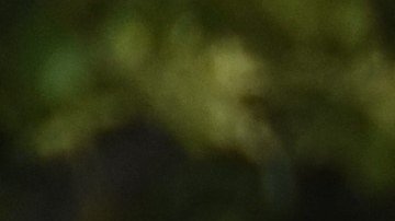 Jaime Recinos, alcalde de Cuscatancingo (El Salvador) y miembro del Consejo Romerista Intersectorial El Salvador (CRIES) toma fotografías a la figura de Monseñor Oscar Romero en su camino hasta la iglesia Episcopal Trinity por la calle Melrose en Los Ángeles. /EFE