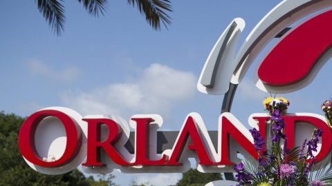 Vista de las flores depositadas en el Hospital de Orlando, Florida hoy 13 de junio de 2016 en memoria a las 49 víctimas mortales, la mayoría hispanas, de la matanza perpetrada el pasado fin de semana en una discoteca de ambiente gay.