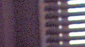 Muchas mujeres golpeadas temen denunciar a los abusadores.