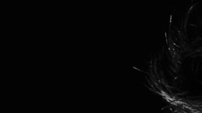 Ricardo Arjona de regreso.