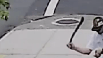 Maltratar a animales puede llevarte a pasar varios meses tras las rejas.