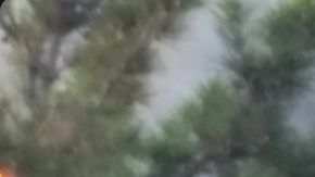 Más de 600 edificios se han visto afectados en Duarte y Azusa por los incendios.