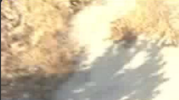 Los primos de Woodland Hills escaparon con vida, pero uno aún no regresa a casa.