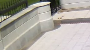 Los accesos a la Casa Blanca fueron cerrados por espacio de una hora.