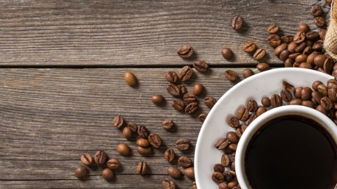 Las bondades del café