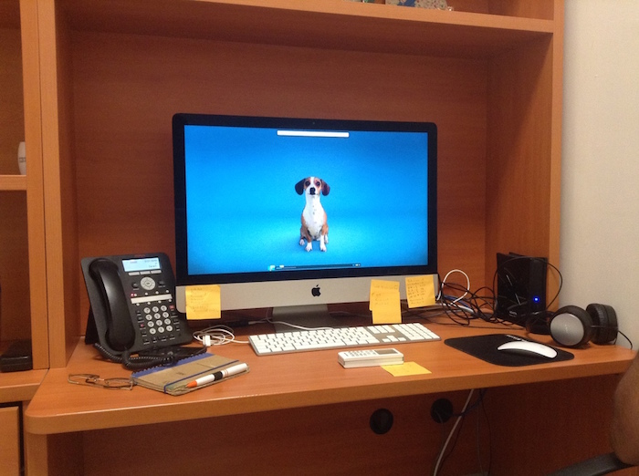 “Todos sabemos que los perros tratan de comunicar algo a través de los ladridos, pero son pocas las personas que en realidad desarrollan la habilidad de comprender lo que tratan de decirnos”, señaló el doctor Humberto Pérez. Foto: Sin Embargo