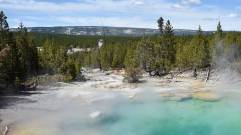 Así lucen las fuentes termales en el área de la cuenca de géiseres de Norris en Yellowstone.