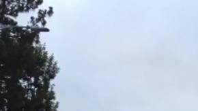 Bomberos descubrieron cinco cuerpos dentro del edificio incendiado. /KTLA