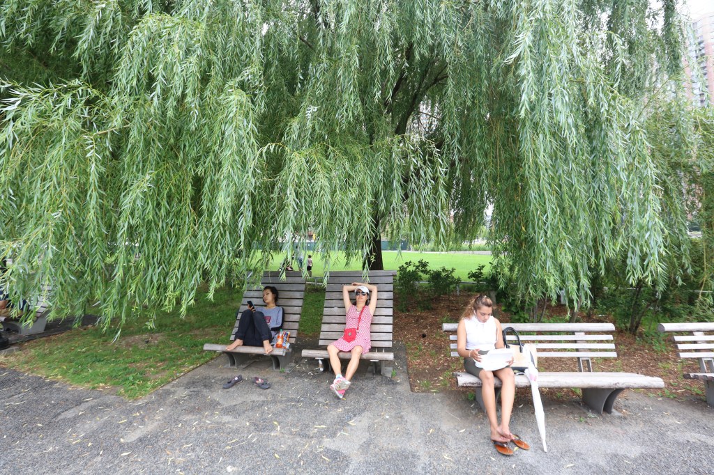 Nuestros Barrios - LIC, Queens - Gantry Plaza State Park. Photo Credito Mariela Lombard/El Diario NY.