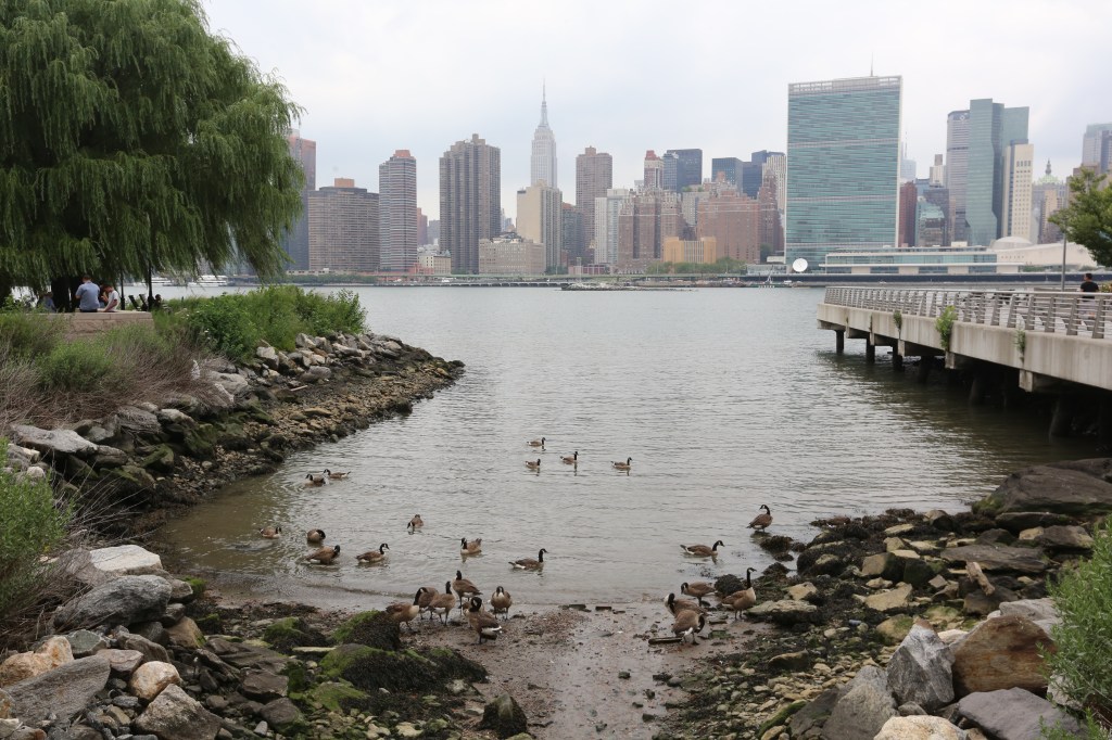 Nuestros Barrios - LIC, Queens - Gantry Plaza State Park. Photo Credito Mariela Lombard/El Diiario NY.