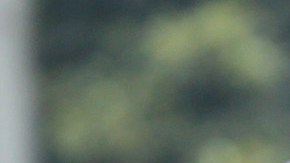 Agentes del LAPD durante una graduación. (Aurelia Ventura/ La Opinion)