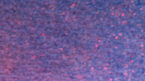 Paty Manterola dejó a más de uno con la boca abierta.