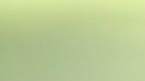 El policía murió durante una persecución.