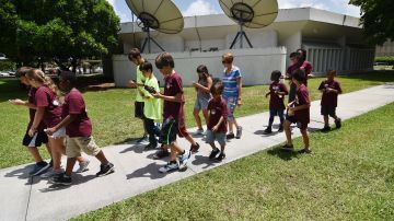 Niños buscan caminan en busca de pokémons en el Campus Norte del Miami Dade College.