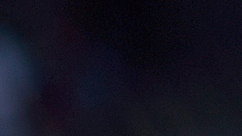 Las Chivas ya no contarán con su goleador histórico Omar Bravo.