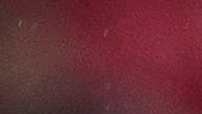 Almeyda felicita a Torres tras el gol que consiguió.