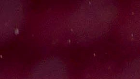 José Ayoví festeja el gol del empate.