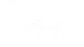 Theodor Elmar Bjarnason