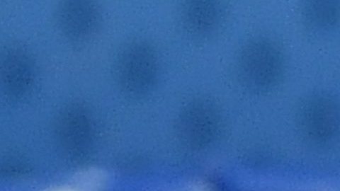 Renato Sanches, aquí defendiendo a Bareth Bale, se ha convertido en uno de los referentes de la selección de Portugal. Los orígenes del jugador son de Cabo Verde.