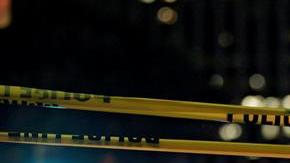 Niños de 1 y 2 años de edad fueron hallados atados y enjaulados en la casa de su madre adoptiva