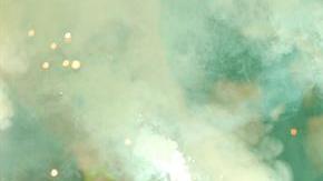 Aficionados Atletico Nacional