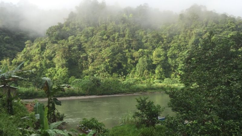 BBC Mundo encontró a Santiago en las selvas del occidente de Colombia.