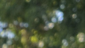 Varias personas acusan al abogado Rogelio Morales de indiscriminadamente demandar a negocios latinos por presunta discriminación. /ALEJANDRO CANO, Especial para La Opinión