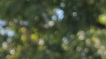 Varias personas acusan al abogado Rogelio Morales de indiscriminadamente demandar a negocios latinos por presunta discriminación. /ALEJANDRO CANO, Especial para La Opinión